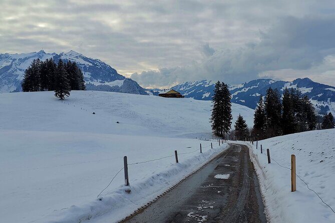 All Inclusive Rhine Falls and Appenzell Private Day Tour from Zurich - A private Zurich day plan: pickup, mobile ticket, and real time management