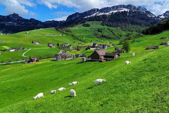 All Inclusive Rhine Falls and Appenzell Private Day Tour from Zurich - Guide Marc and the difference clear communication makes