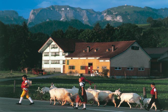 Appenzell Alps Day Trip from Zurich – Farm Life & Cheese Tasting - Stop 1: Stein farm life and the milk tasting moment