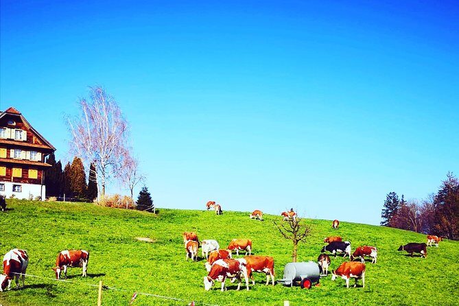 Appenzell and Liechtenstein Tour from Zurich - Appenzell Old Town Walk: Wooden Houses and Swiss Traditions