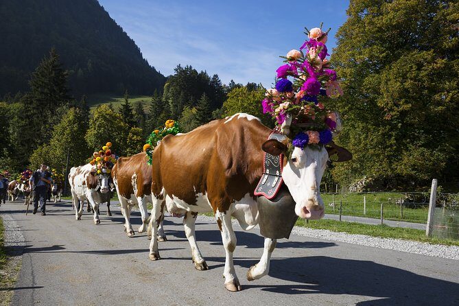 Berne the Capital and Cheese paradise Emmental (Private Tour) - Time, Pace, and Weather: How to Plan Your Day Smart