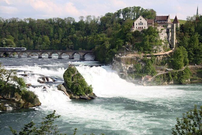 Black Forest and Rhine Falls Day Trip from Zurich - Key things to know before you go