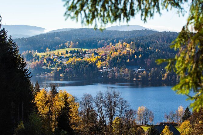 Black Forest and Rhine Falls Day Trip from Zurich - Rhine Falls: Europe’s largest waterfall as the big payoff