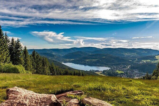 Black Forest and Rhine Falls Day Trip from Zurich - Who this tour fits best