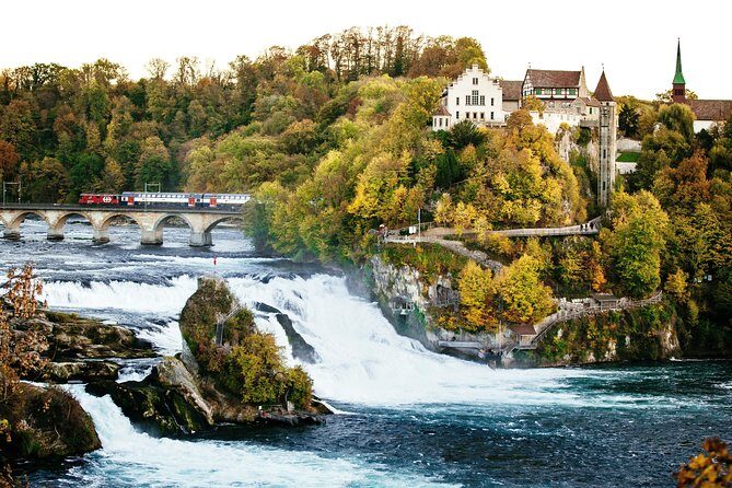 Black Forest and Rhine Falls Day Trip from Zurich - Practical tips so your day goes smoothly