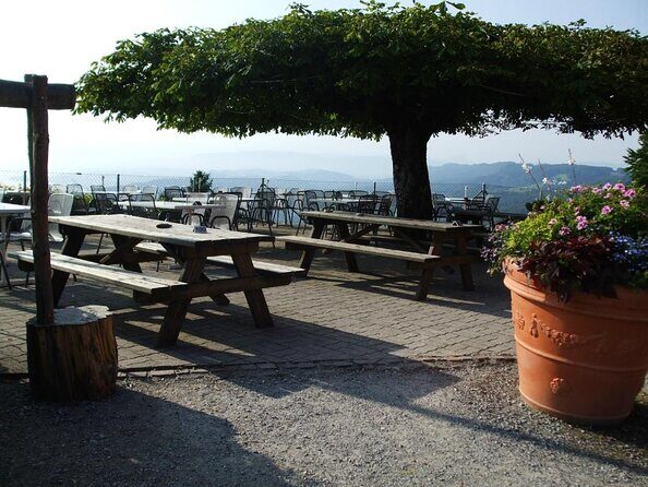 Culinary Tour from Zurich with Traditional Swiss Cheese Fondue Dinner - Key highlights worth your attention