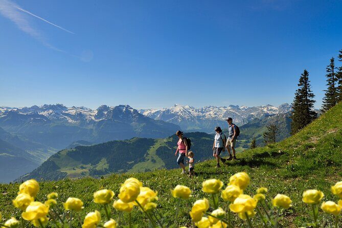 Day Trip to Lucerne and Mount Stanserhorn Including CabriO Cable Car Ride - Logistics that can make or break your day