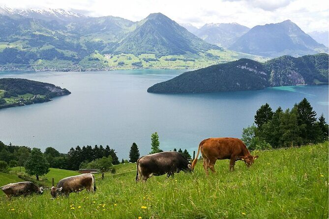 Day Trip to Lucerne and Mt. Rigi with a local from Zurich - A Swiss Day Trip That Actually Moves (Zurich, Lucerne, and Rigi)
