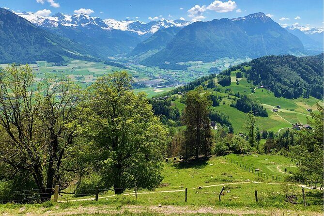 Daytrip to Lucerne and Legendary Bürgenstock Resort from Zurich - The Lake Lucerne boat ride: short, scenic, and worth the included time