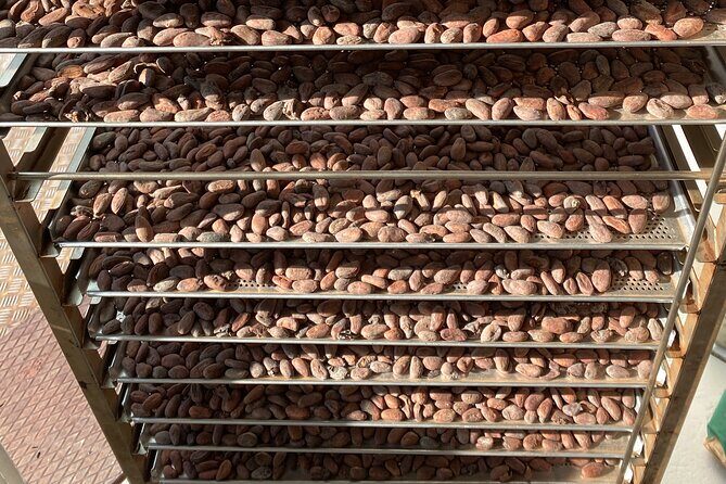Ethical Chocolate Tour - Stop 2 in Wollishofen: factory observation and bean-to-bar process reality