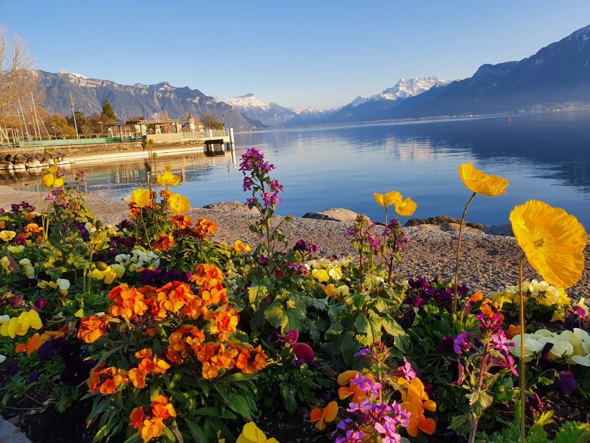 From Zurich: 7-Day Tour to Geneva with Tickets and Lodging - Day 6: Chillon Castle, Lausanne Stops, and a Geneva Walking Tour