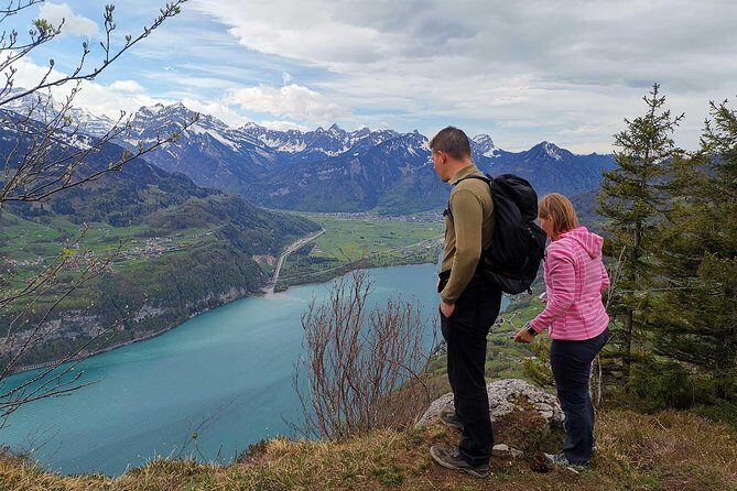 From Zurich: Breathtaking waterfall and lakes private tour - Zurich pickup and the chauffeur comfort factor