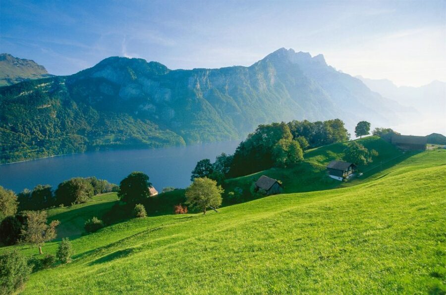 From Zurich: Bus Day Trip to Heidiland and Liechtenstein - Key highlights at a glance