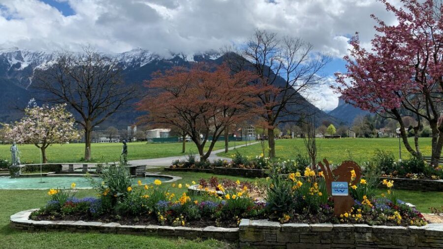 From Zurich: Crash Landing On You Locations in Interlaken - The guide and the photo strategy that makes this tour worth it