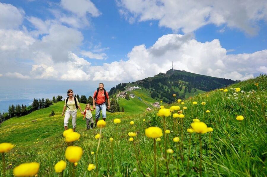 From Zurich: Day Trip to Rigi and Lake Lucerne - Rigi Kulm Free Time: What to Do With Your Time Up There