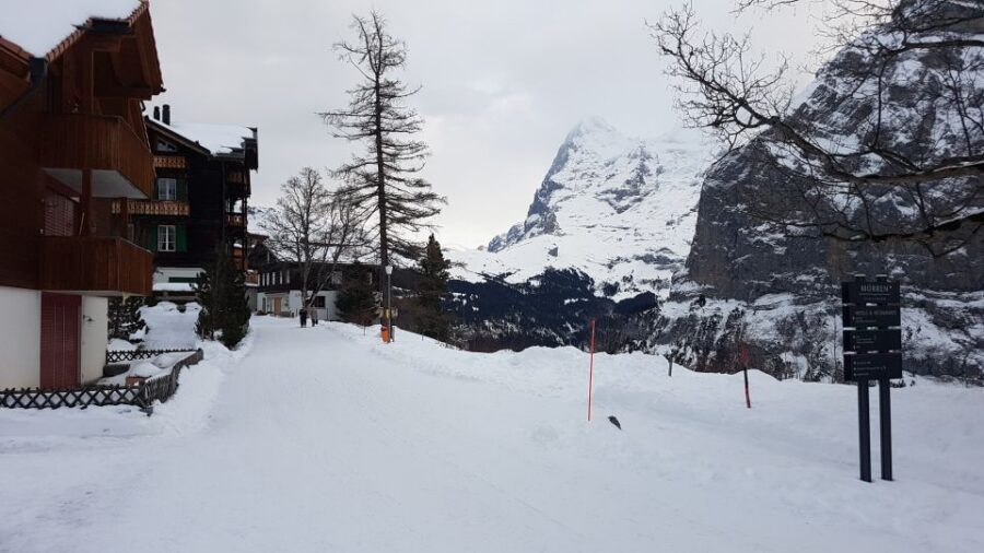 From Zürich: Exclusive Private Tour to Mt. Schilthorn - Price and value: what $728 per person really covers