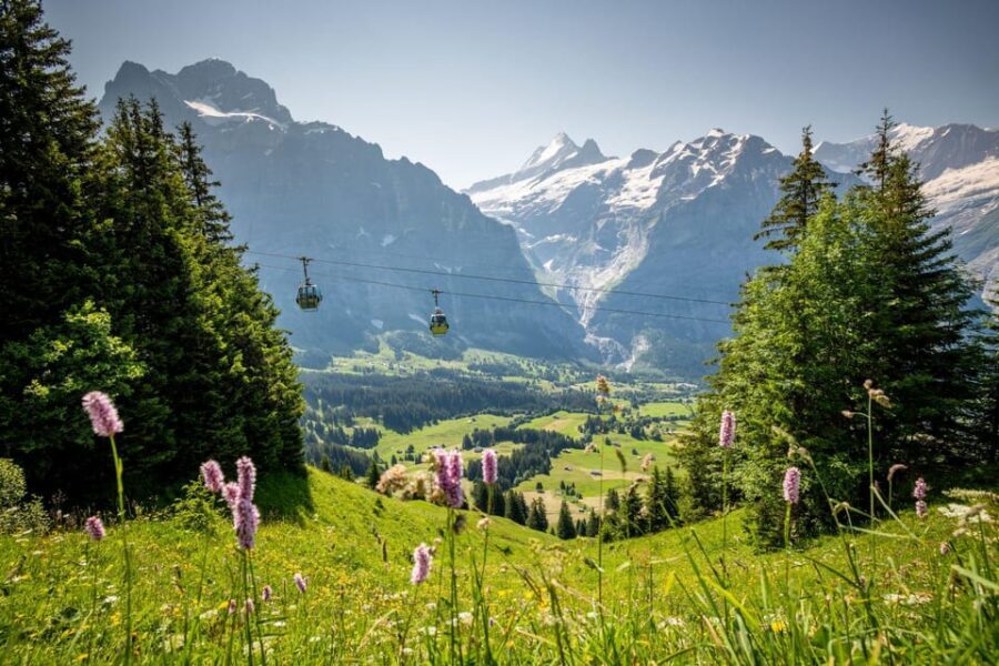 From Zurich: Grindelwald First Cable Car & Interlaken - Price and value: what you are paying for