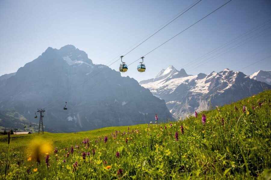 From Zurich: Grindelwald First Cable Car & Interlaken - Who this day trip fits best