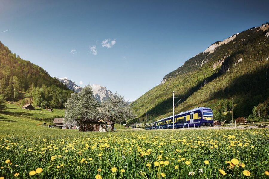 From Zurich: Grindelwald First Mountain Adventure Day Trip - Zurich to the Bernese Oberland: the bus ride you won’t hate