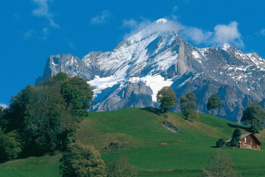 From Zürich: Interlaken and Grindelwald Day Trip by Coach - Price and Value: Is $121 Worth It From Zürich?