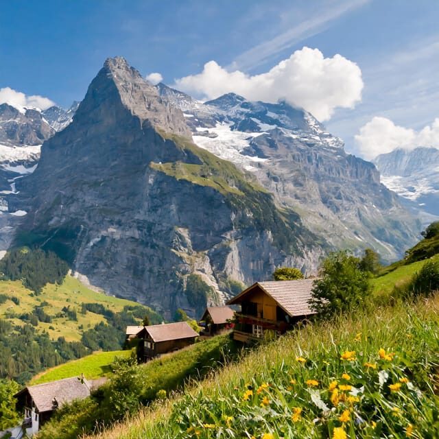 From Zurich: Interlaken and Grindelwald Private Day Tour - Guide Style Can Make or Break the Day