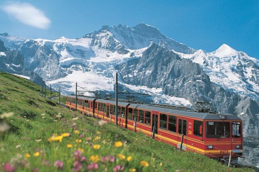 From Zurich: Jungfraujoch Guided Day Tour with Cogway Train - Zurich-to-the-Top Game Plan: What This 11.5-Hour Tour Really Covers