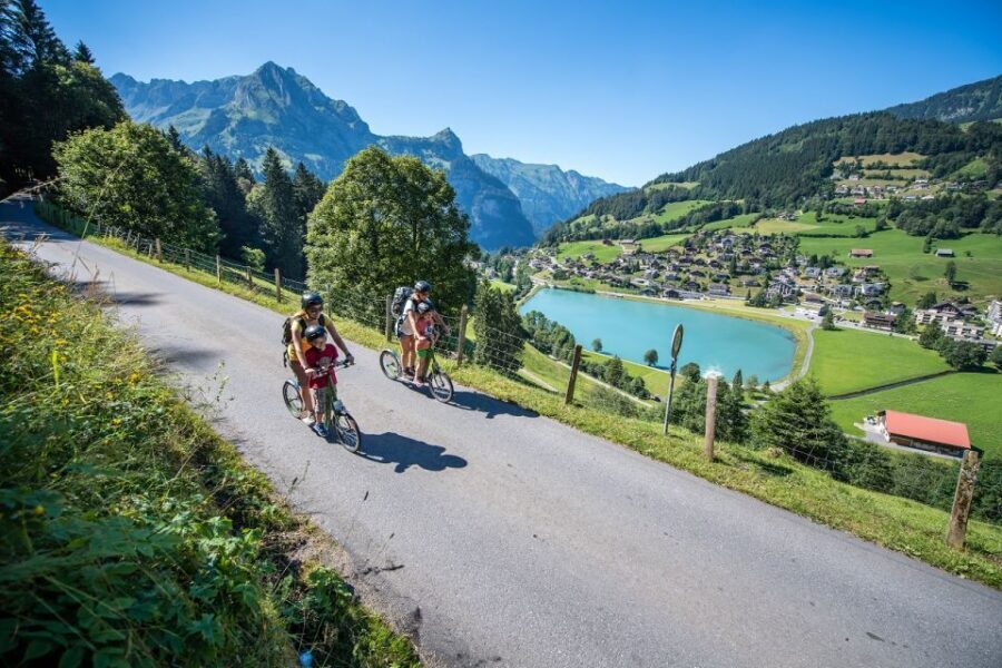 From Zurich: Lucerne and Engelberg Full-Day Tour - Coach comfort, timing, and why the guides matter
