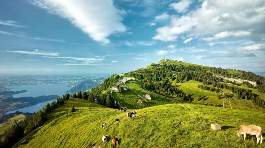 From Zurich: Mount Rigi and Lucerne Small-Group Day Trip - Real-World Logistics That Can Make or Break the Day