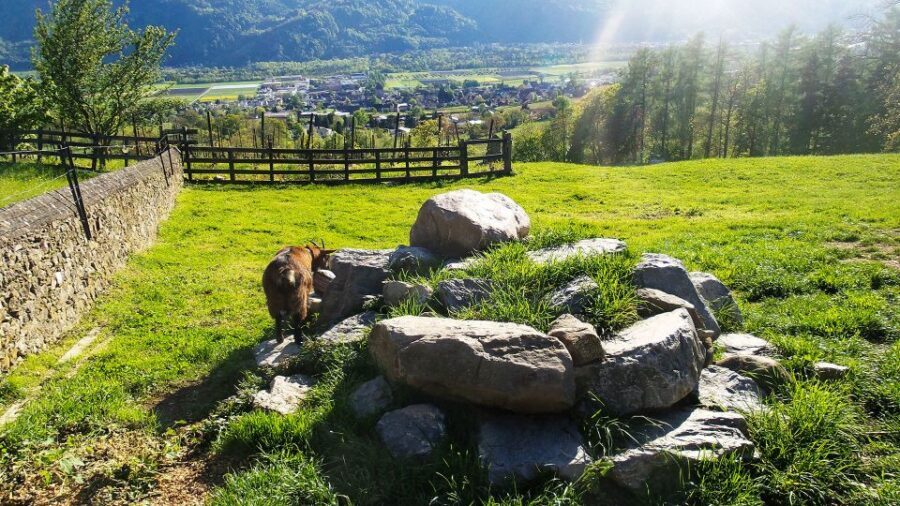 From Zurich: Private Trip to Liechtenstein and Heidiland - Vaduz’s castle-and-cathedral core, plus the passport stamp
