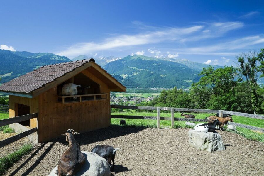 From Zurich: Private Trip to Liechtenstein and Heidiland - Heidiland: the Heidi Path and the authentic Heidi house