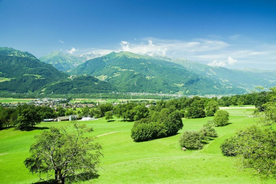 From Zurich: Private Trip to Liechtenstein and Heidiland - Price and value for a private day up to 3 people