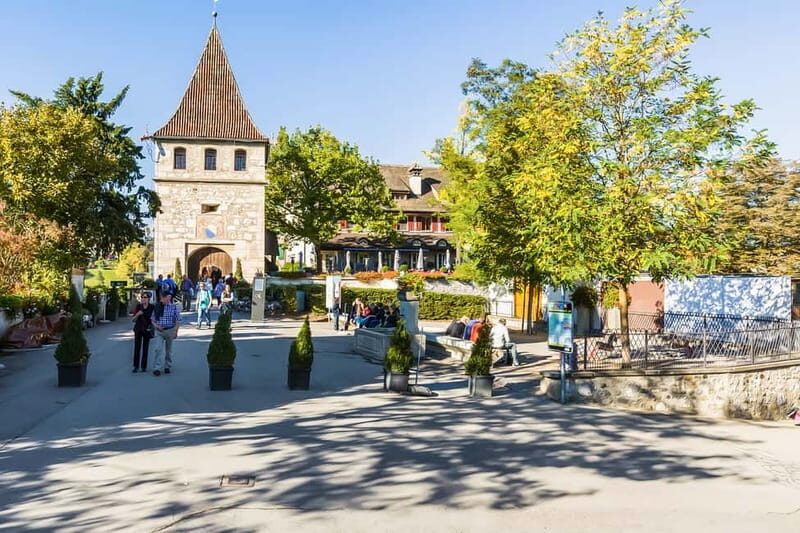 From Zurich: Rhine Falls Coach Tour - Boat ride in summer: closer to the chaos