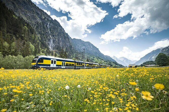Grindelwald First - Top of Adventure from Zurich - The Bachalpsee hike: your scenic reset between thrills