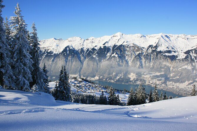 Grindelwald, Interlaken & Lauterbrunnen Day Trip from Zurich - Grindelwald: the mountain stop with enough time for a real optional activity
