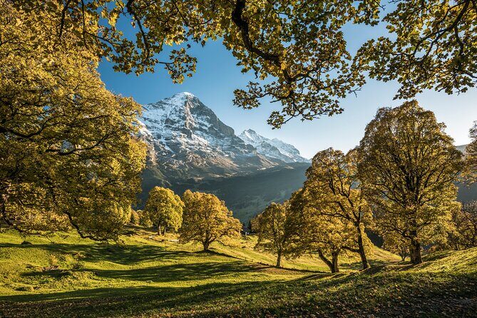 Grindelwald, Interlaken & Lauterbrunnen Day Trip from Zurich - Timing, weather, and reverse order: the reality check