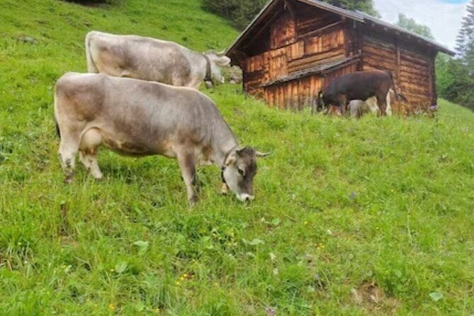 Grindelwald, Lauterbrunnen Lungern Interlaken Semi-Private - Lauterbrunnen: the waterfall valley with a short walk