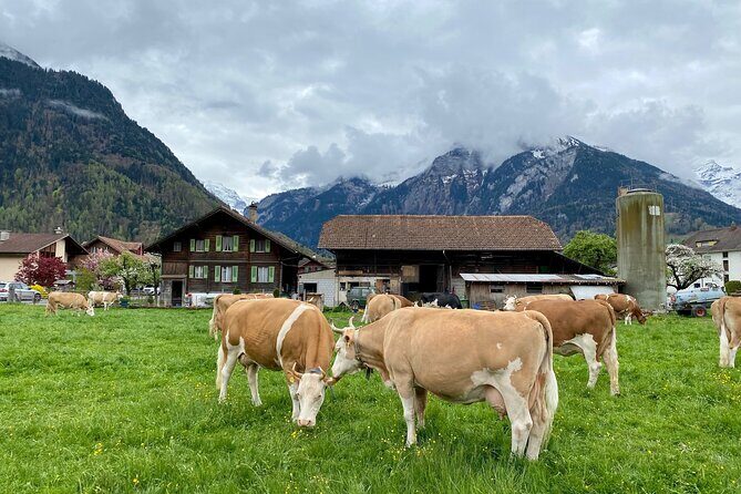 Grindelwald, Lauterbrunnen & Mürren Private Day Trip from Zurich - Stechelberg to Mürren: Cable Car Views and a Car-Free Village Feel