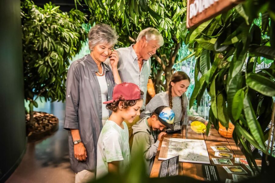 Lindt Home of Chocolate Museum Entry Ticket - The tasting room: unlimited samples, smart pacing, and sugar strategy