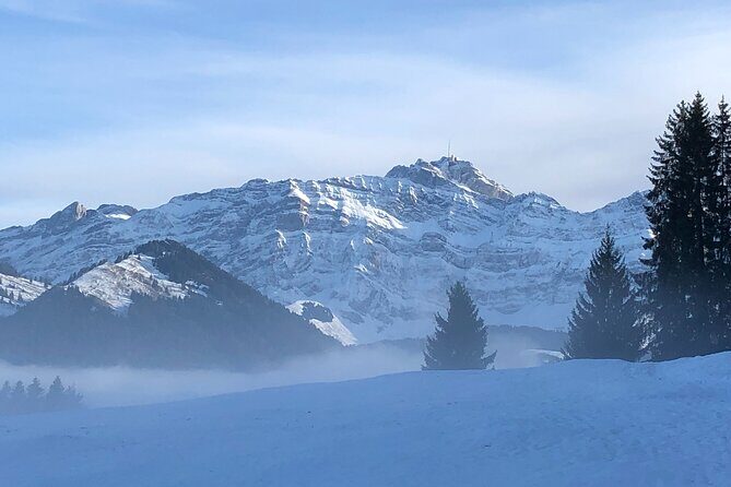 Private Guided Swiss Alps Day Trip from Zurich with Hotel Pick-Up - Appenzell village walk: painted facades, traditions, and specialty shopping