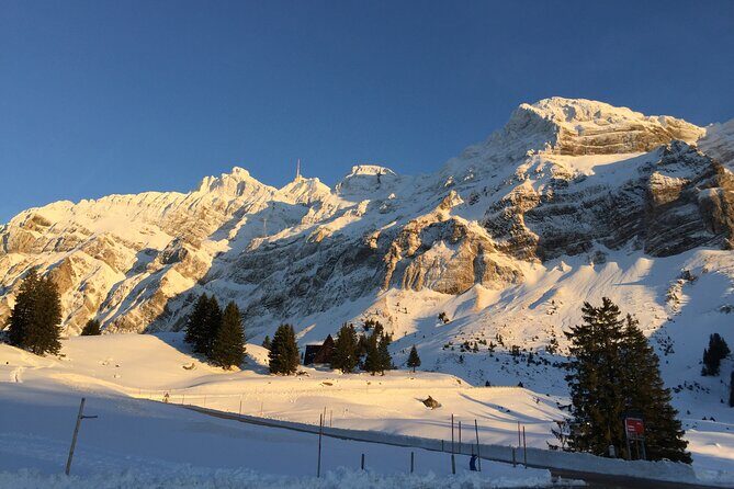 Private Guided Swiss Alps Day Trip from Zurich with Hotel Pick-Up - Tips for a smoother day with this private guide
