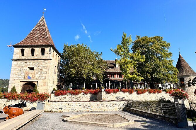 Private Half-Day Tour to the Rhine Falls with Pick-up at Hotel - Price and Value: What You’re Really Paying For