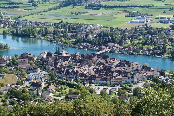 Private tour from Zurich to Rhine Falls and Stein am Rhein - Door-to-Door in Zurich: The Logistics Win You Can Feel