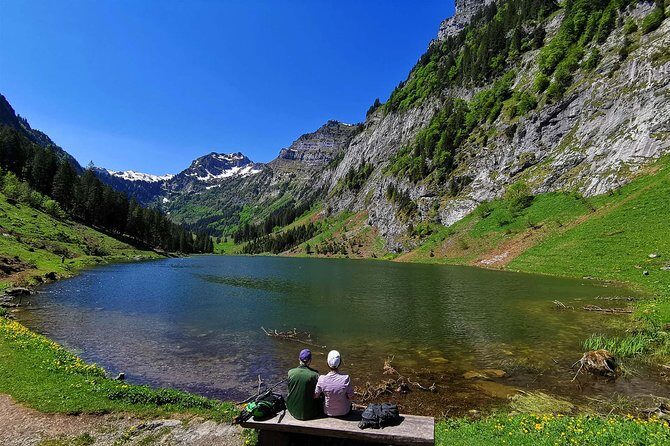 Private tour to the most breathtaking insider spots in Switzerland (1 day) - The 8-Hour Route: Lake Zurich → Lake Lucerne → Alps and Back