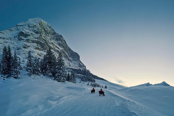 Private trip from Zurich to Jungfraujoch (The Top of Europe) - Door-to-door convenience from Zurich to the Top of Europe