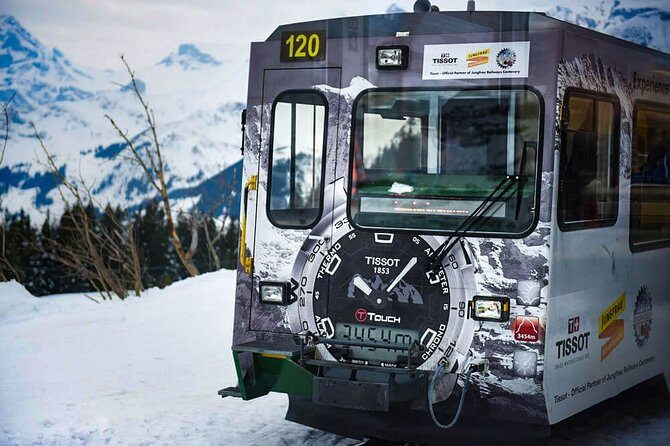 Private trip from Zurich to Jungfraujoch (The Top of Europe) - Who should book this private Jungfraujoch day