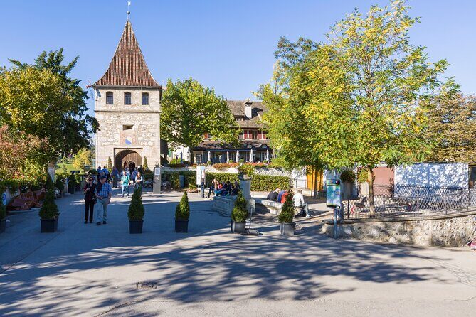 Rhine Falls Coach Tour incl. entry tickets from Zurich - Optional Summer Boat Cruise: The Pay-Extra Move for Up-Close Power