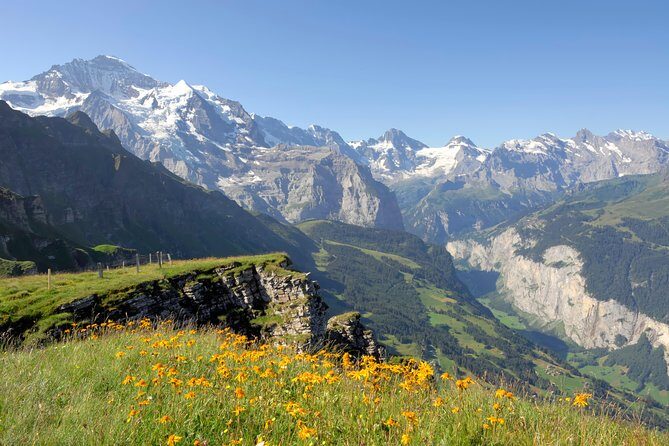 Swiss Alps: Interlaken and Grindelwald Day Trip from Zurich - Guides, group size, and how much help you’ll get