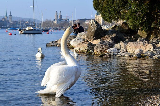 The Best of Zurich Including Panoramic Views in a Small Group Walking Tour - Inclusions, Exclusions, and What to Plan For
