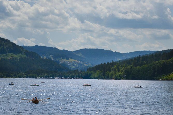 Trip from Zurich to Germany's Black Forest & Swiss Rhine Falls - From Zurich to the Black Forest, without the usual hassle