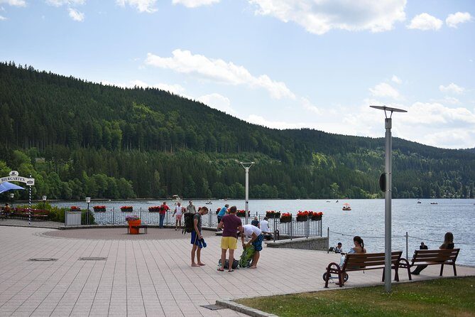 Trip from Zurich to Germany's Black Forest & Swiss Rhine Falls - Rhine Falls: your 1 hour 30 minutes to be wowed